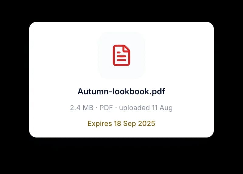 Uploaded PDF file preview named Autumn lookbook, 2.4 MB